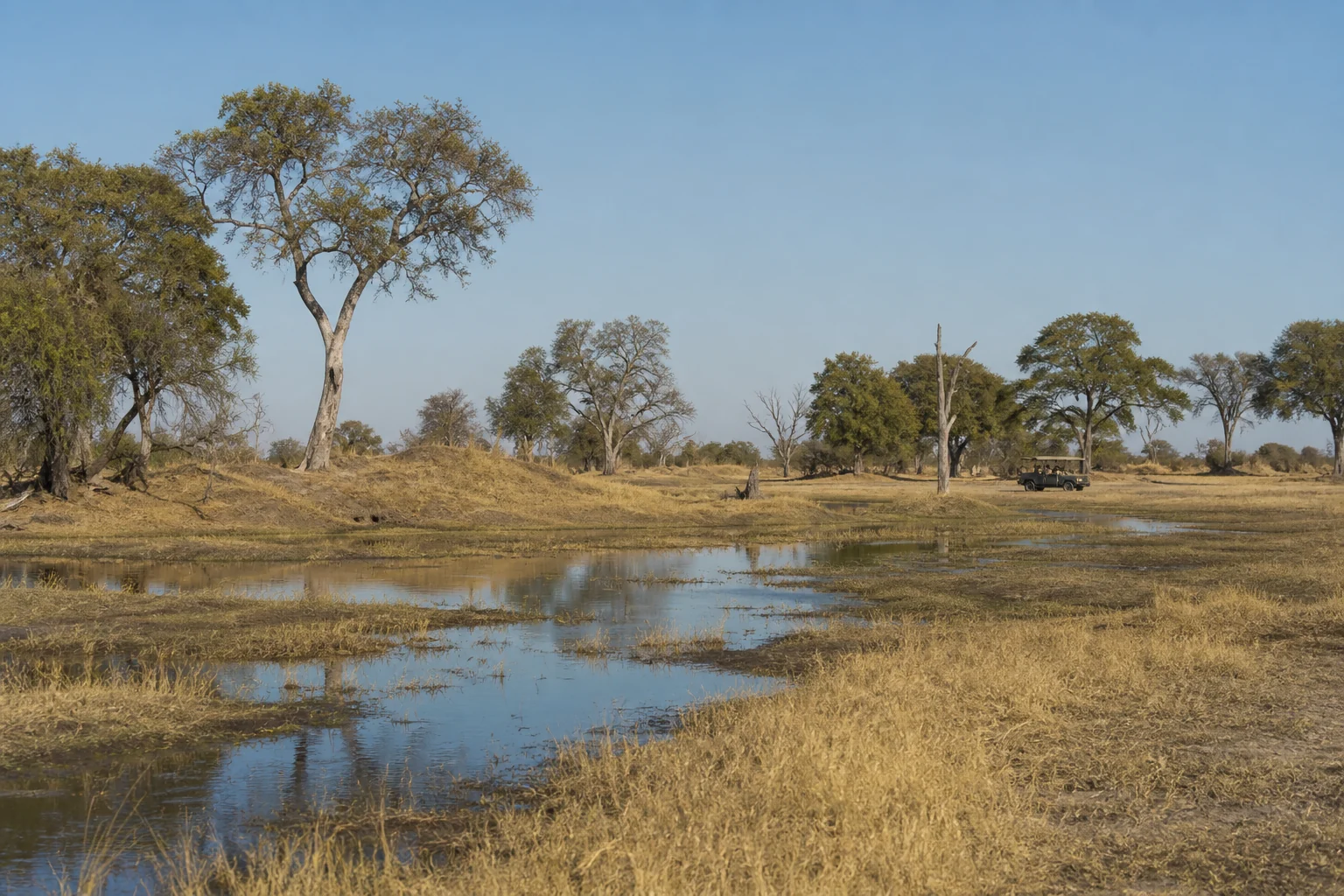 Botswana for guests: Okavango Delta and exclusive camps