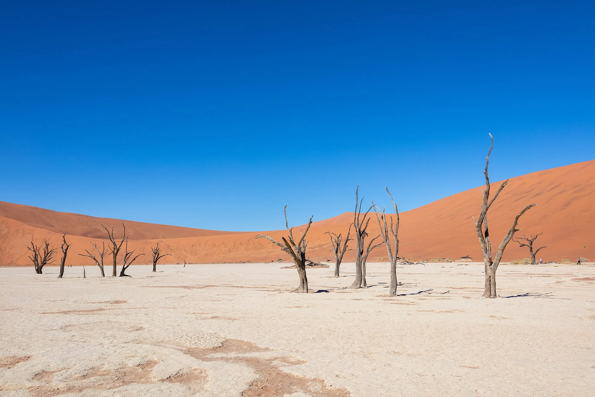 Namibia trip: desert, lodges and vastness